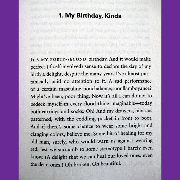 Book: The Book of Delights, Essays by Ross Gay - Picture 4 of 14